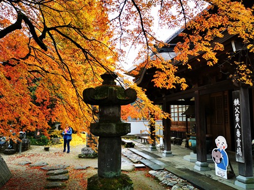 第八番 清泰山 西善寺
